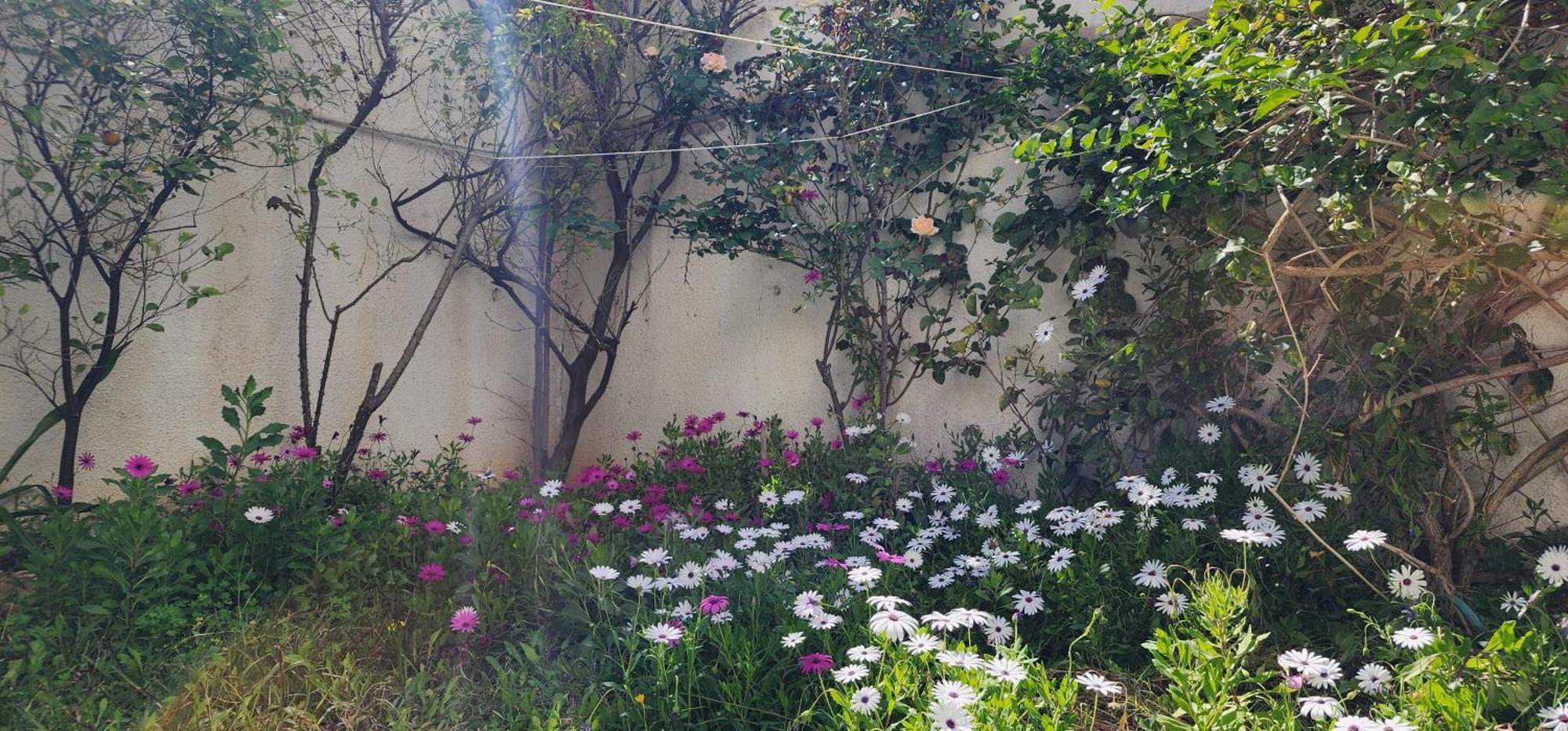 Duplex Bien Equipe Securise Avec Jardin Et Veranda La Marsa Extérieur photo