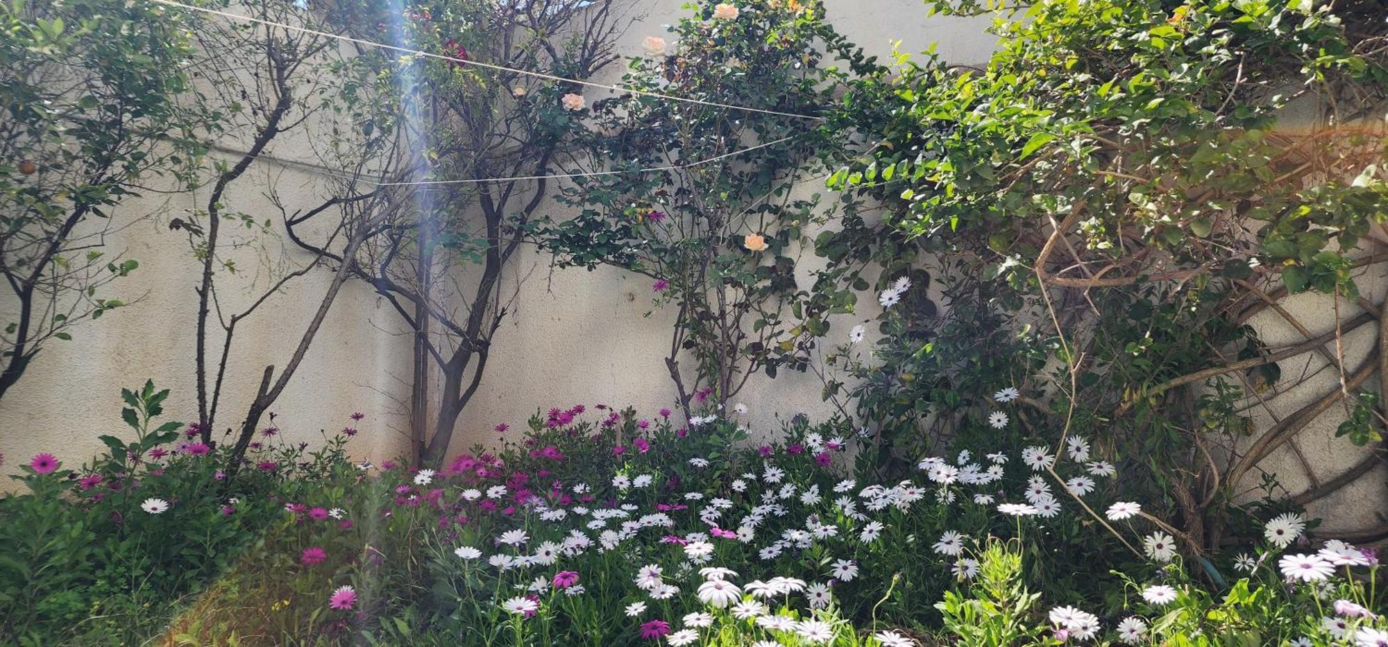 Duplex Bien Equipe Securise Avec Jardin Et Veranda La Marsa Extérieur photo