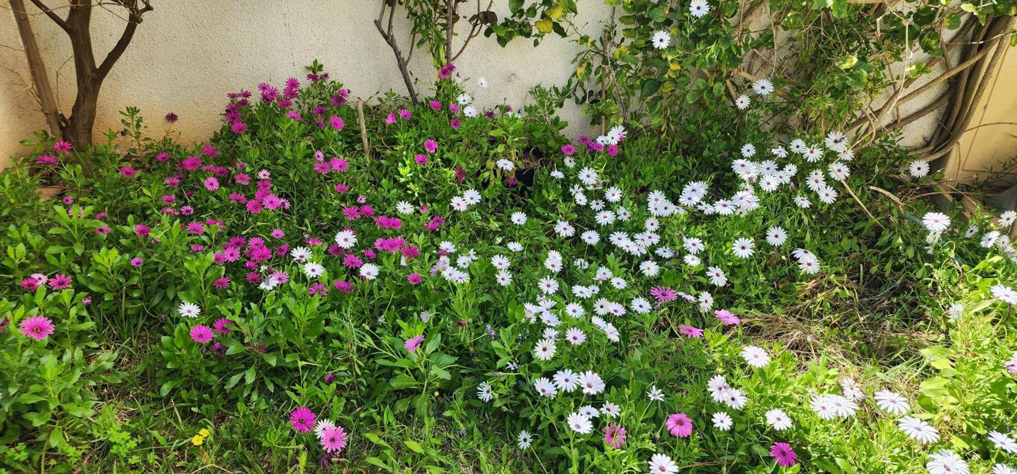 Duplex Bien Equipe Securise Avec Jardin Et Veranda La Marsa Extérieur photo