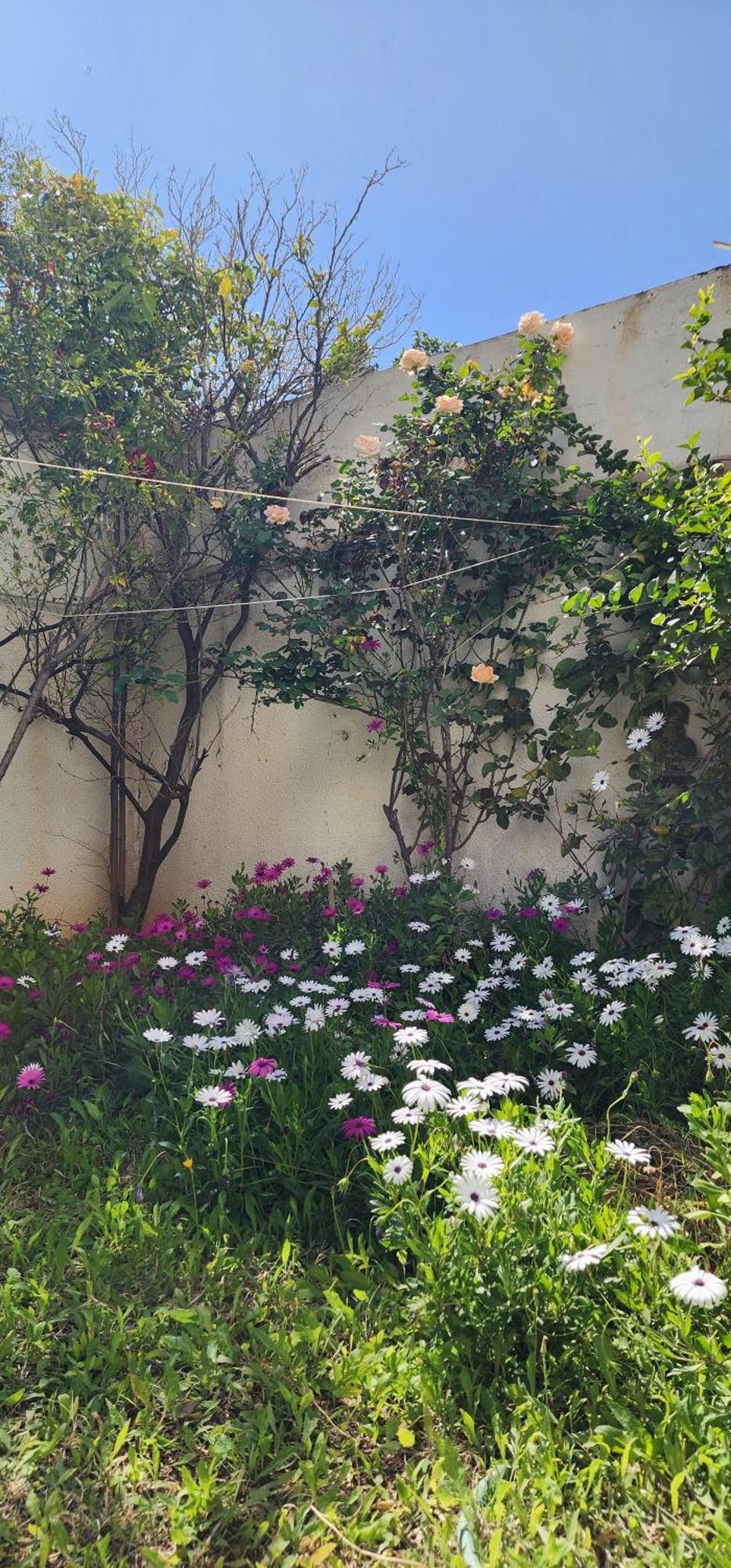 Duplex Bien Equipe Securise Avec Jardin Et Veranda La Marsa Extérieur photo